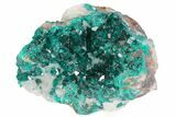 Gemmy, Green Dioptase Crystals On Quartz - Namibia #78692-2